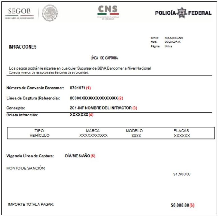 Procedimiento para el pago de Multas Federales de Caminos